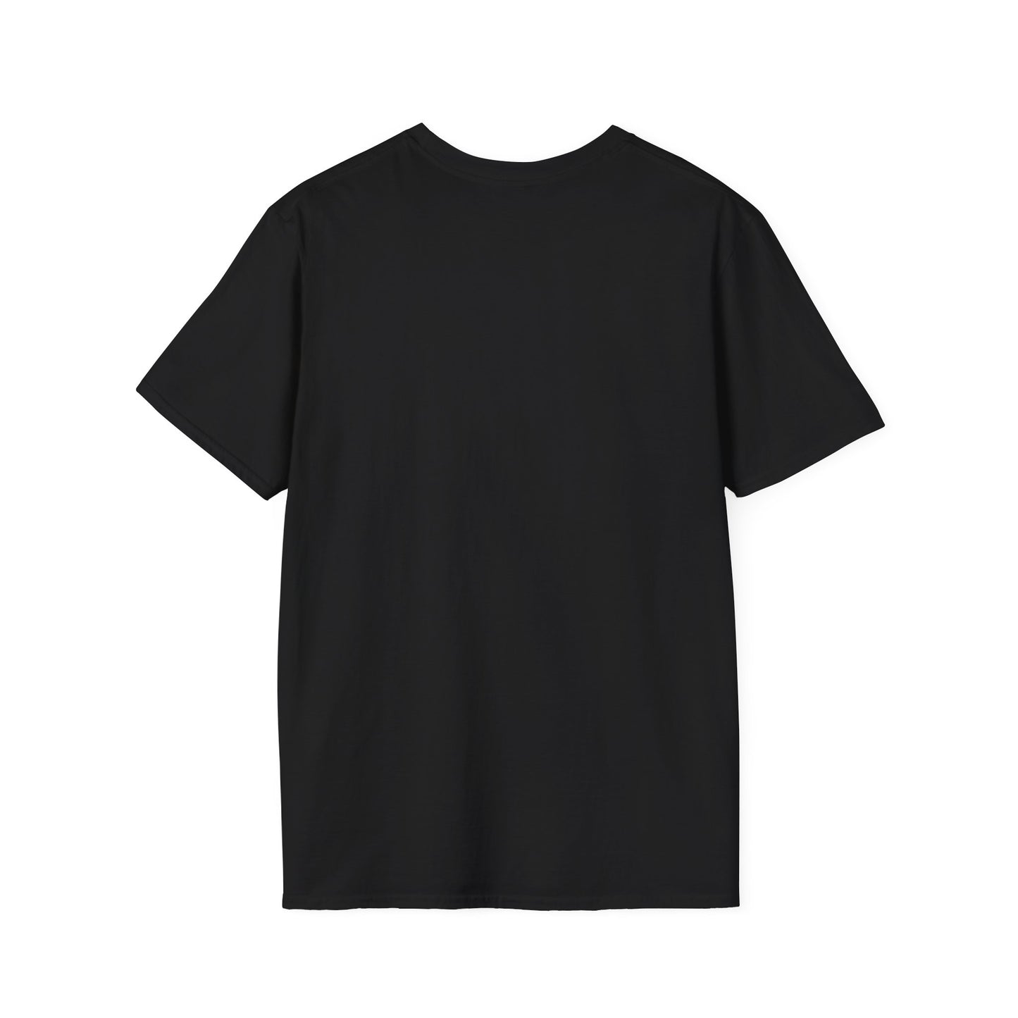 Only a King Can Attract a Queen Unisex Softstyle T-Shirt