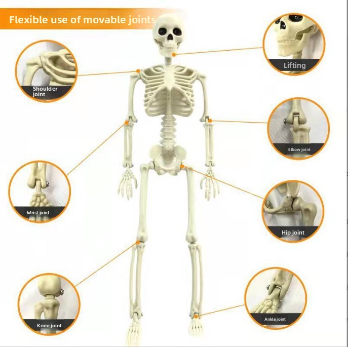Artificial Human Witch Scary Halloween Pumpkin Skeleton Decoration for Haunted House 4ft Holiday