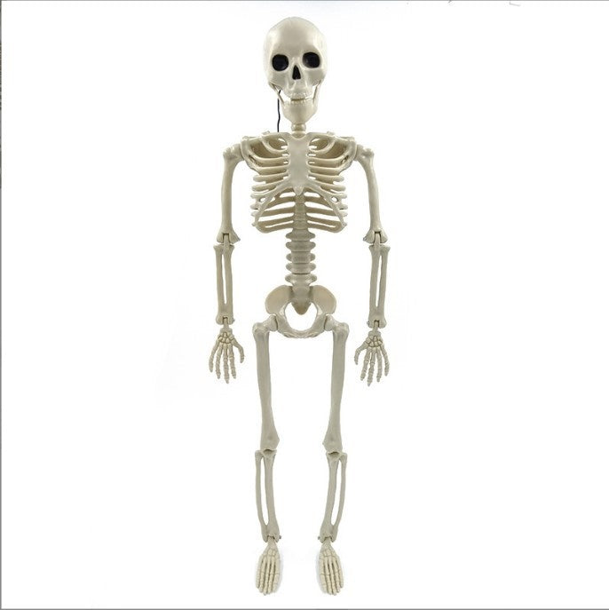 Artificial Human Witch Scary Halloween Pumpkin Skeleton Decoration for Haunted House 4ft Holiday