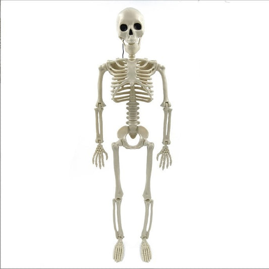 Artificial Human Witch Scary Halloween Pumpkin Skeleton Decoration for Haunted House 4ft Holiday